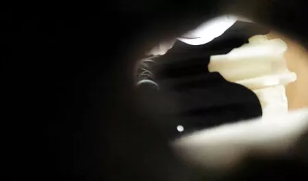avril videos xxl gratuites