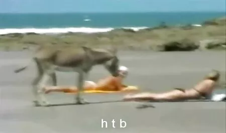 Petit video gratuite pornodingue paquet beaucoup de plaisir