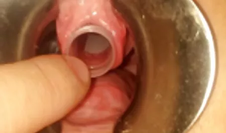 Petite amie adolescente chevauchant la bite de meilleure video porno son petit ami. prendre plaisir